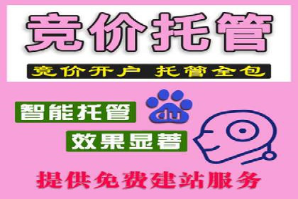 百度推广公司：行业领先的网络营销案例